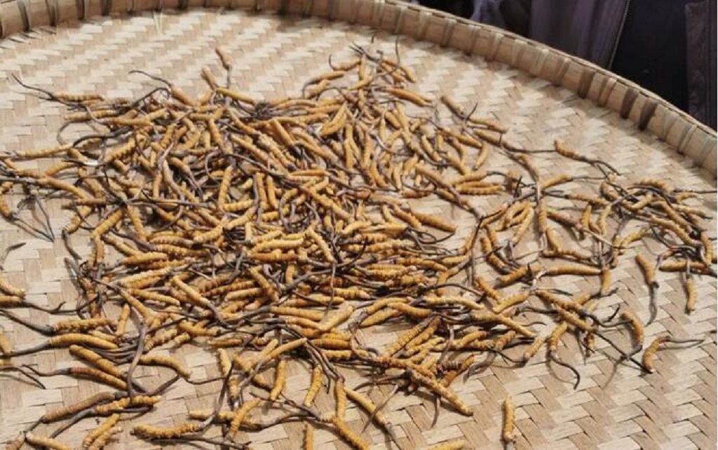 null TIM圖片20200630175850.jpg