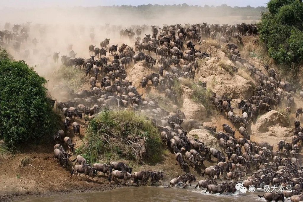 null 微信圖片_20200706092014.jpg