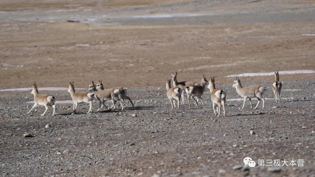 null 微信圖片_20200706094232.jpg