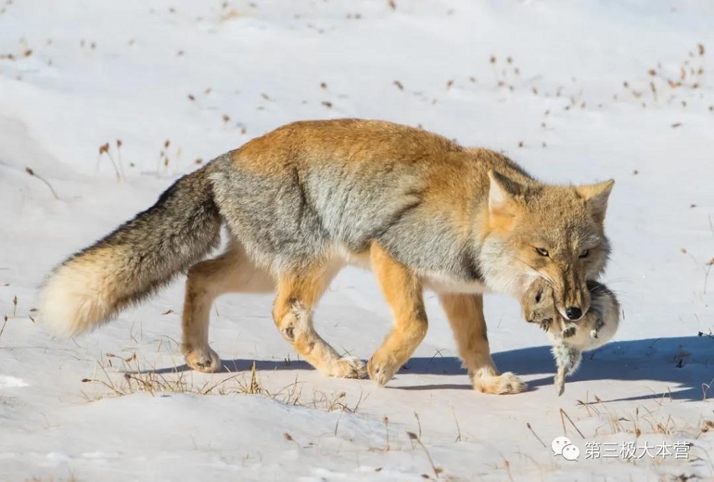 null 微信圖片_20200706094238.jpg