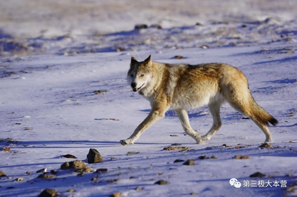 null 微信圖片_20200706094242.jpg