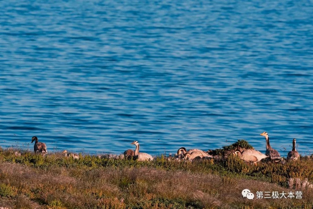 null 微信圖片_20200706095943.jpg