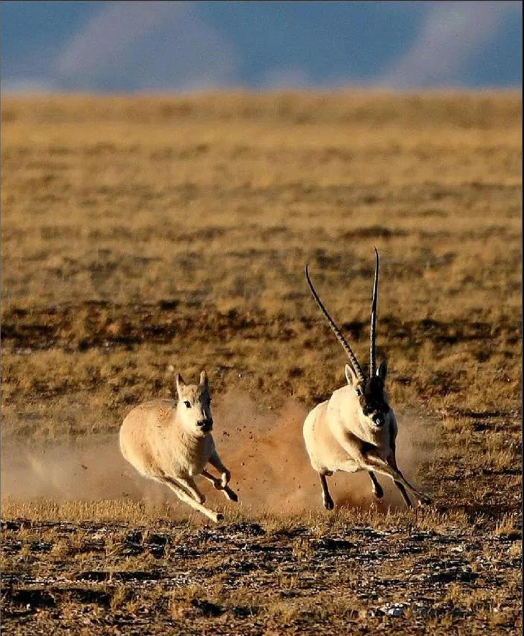 null 微信圖片_20200729171327.jpg