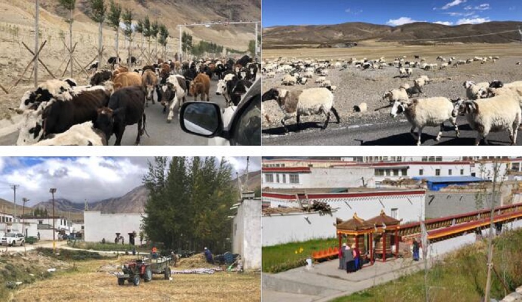 null QQ截圖20210701094318.jpg