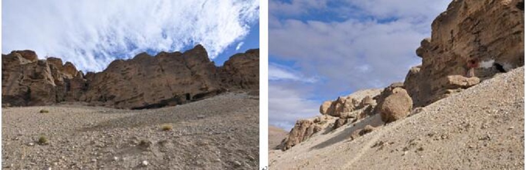 null QQ截圖20210701094845.jpg